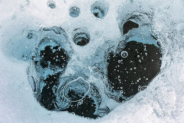 Wall Art - Photograph - Close Up Of Ice Melting. Atmospheric Black Dust Causes The by Uri Golman / Naturepl.com