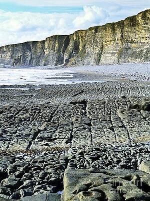 Wall Art - Photograph - Coastal Limestone Platform by Science Photo Library