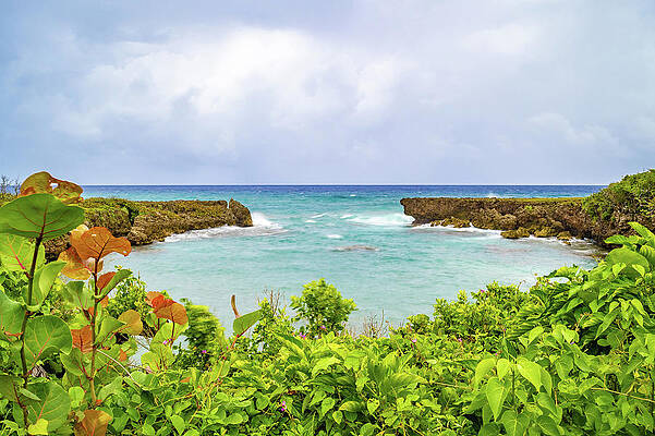 Coastline in Saint Mary Jamaica by Debbie Ann Powell Coastline in Saint Mary Jamaica by Debbie Ann Powell