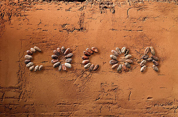 Wall Art - Photograph - Cocoa by Michael Pole