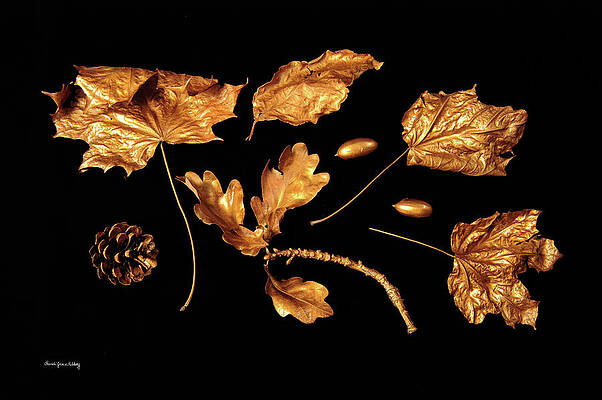 Collection of Gold by Randi Grace Nilsberg Collection of Gold by Randi Grace Nilsberg