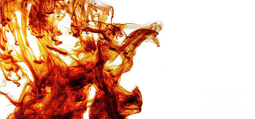 Wall Art - Photograph - Color liquid motion in water. Abstract paint splash background.  by Jelena Jovanovic