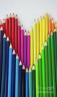 Color pencils Photograph by Dutourdumonde Photography - Fine Art America