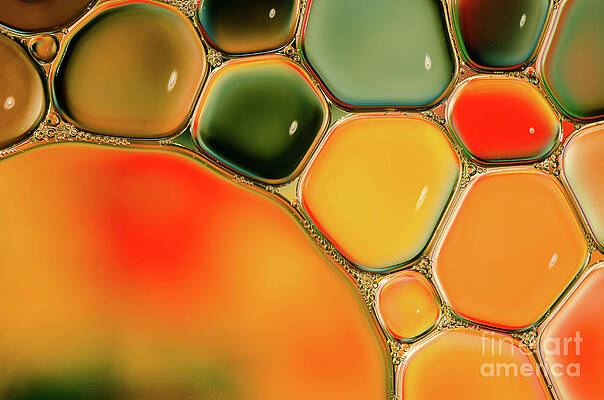 Wall Art - Photograph - Colorful Abstraction Shot Of Oil And by Laurens Kaldeway