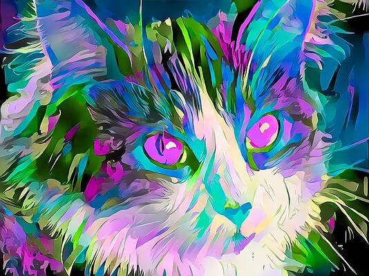 Colorful Cat Face Abstract Purple Eyes by Don Northup Colorful Cat Face Abstract Purple Eyes by Don Northup