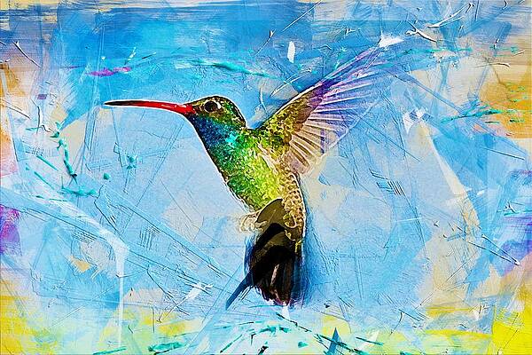Rainbow Bird Paintings Fine Art America