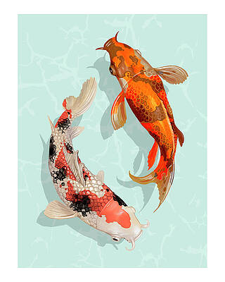 Wall Art - Digital Art - Colorful Koi Swimming In Water by Trendy Art