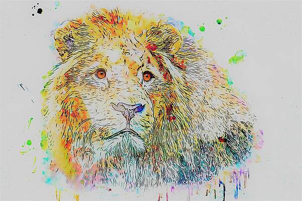 Lion King Paintings Fine Art America