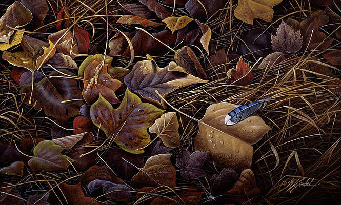 Blue Jay Feather Paintings Fine Art America Blue Jay Feather Paintings Fine Art America