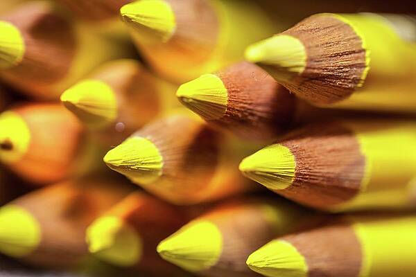 Colored pencils Photograph by Blink Images - Fine Art America