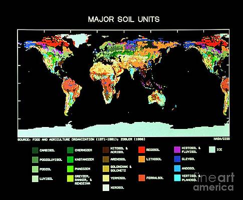 Wall Art - Photograph - Computer Map Of Global Soil Types by Science Photo Library