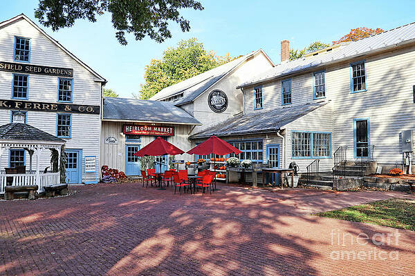 Wall Art - Photograph - Comstock Ferre Heirloom Market  3464 by Jack Schultz