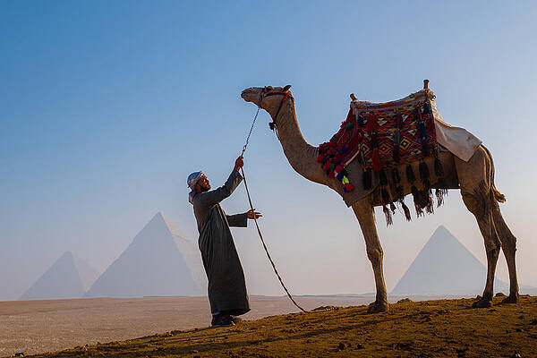 Wall Art - Photograph - Control by Ali Khataw