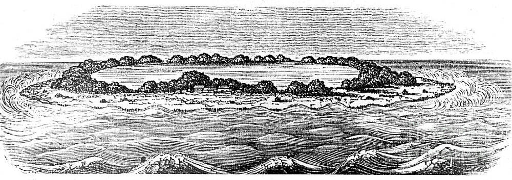 Wall Art - Drawing - Coral Reef Creating A Lagoon by Print Collector