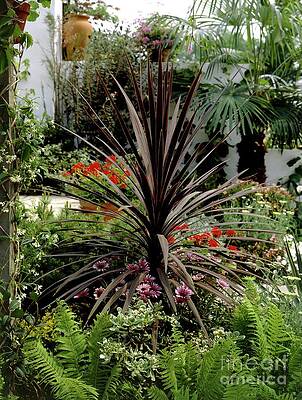 Wall Art - Photograph - Cordyline Helenium by Science Photo Library
