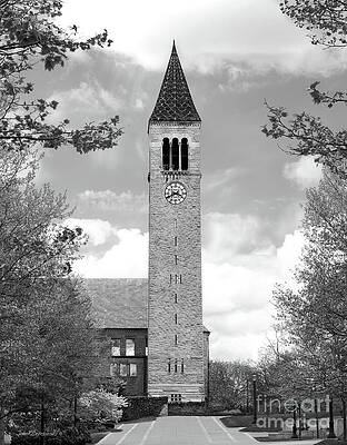 Cornell University Mc Graw Tower by University Icons Cornell University Mc Graw Tower by University Icons