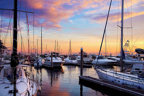 Cotton Candy Wharf 2 by Cody Meadows Cotton Candy Wharf 2 by Cody Meadows