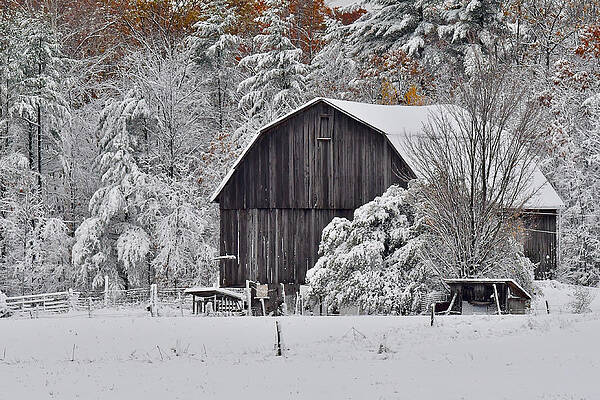 Country Snow 0850 by Michael Peychich Country Snow 0850 by Michael Peychich