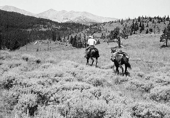 Cowboy Riding Horse, With Second Hold Print by George Marks
