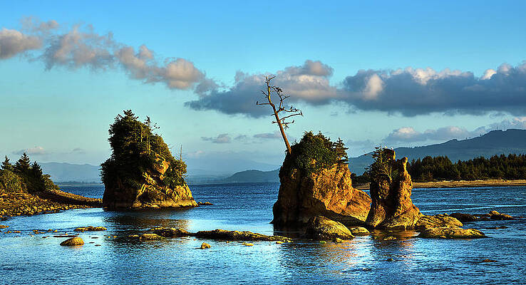 Crab Rock, Bar View Oregon, Oregon coast by TL Mair Crab Rock, Bar View Oregon, Oregon coast by TL Mair