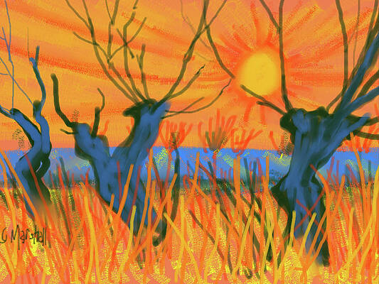 Cropped Willows in Evening Light by Glenn Marshall Cropped Willows in Evening Light by Glenn Marshall