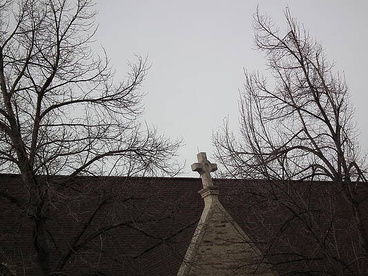 Cross in the Trees by Steve Kattnig