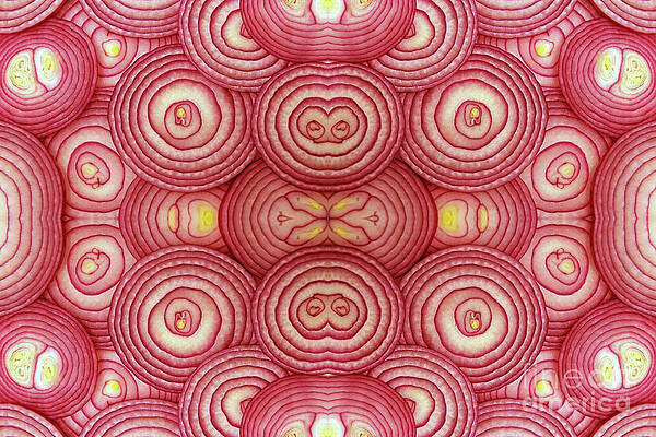 Wall Art - Photograph - Cross Sections Of A Red Onion Stacked by Zen Rial