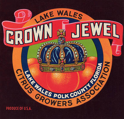 Wall Art - Painting - Crown Jewel by Unknown