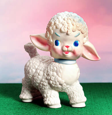 Wall Art - Drawing - Cute White Lamb by CSA Images