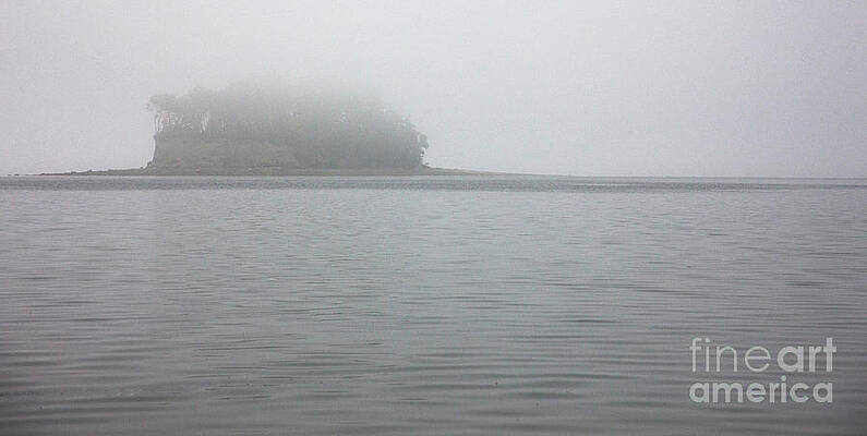 Cutts Island State Park by Richard Lynch Cutts Island State Park by Richard Lynch