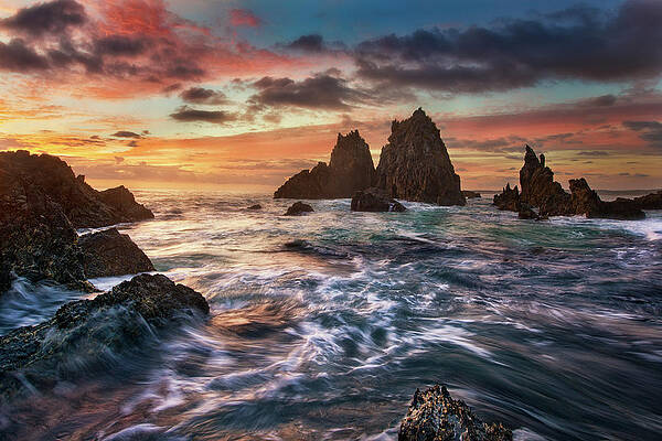 Dance With Light by Yan Zhang Dance With Light by Yan Zhang