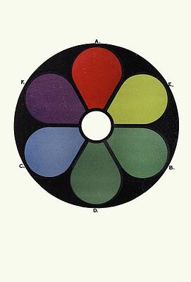 Wall Art - Painting - Darkened Shades Of The Primaries And Their Complementaries by James Ward