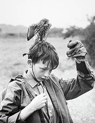 Wall Art - Photograph - DAVID BRADLEY in KES -1969-. by Album