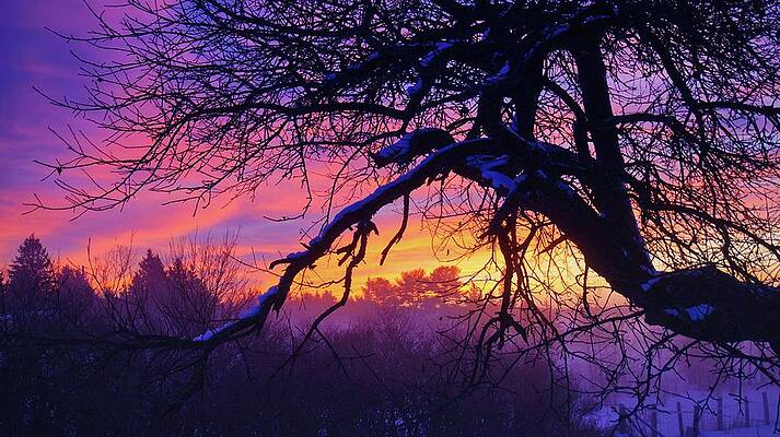 Dawn Dreaming by Bryan Smith Dawn Dreaming by Bryan Smith