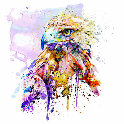 Golden Eagle Paintings Fine Art America