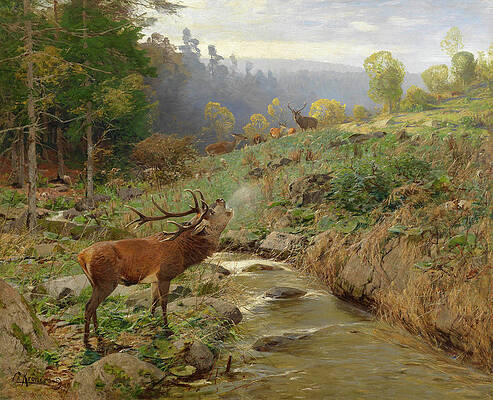 Deer Creek Paintings for Sale - Fine Art America