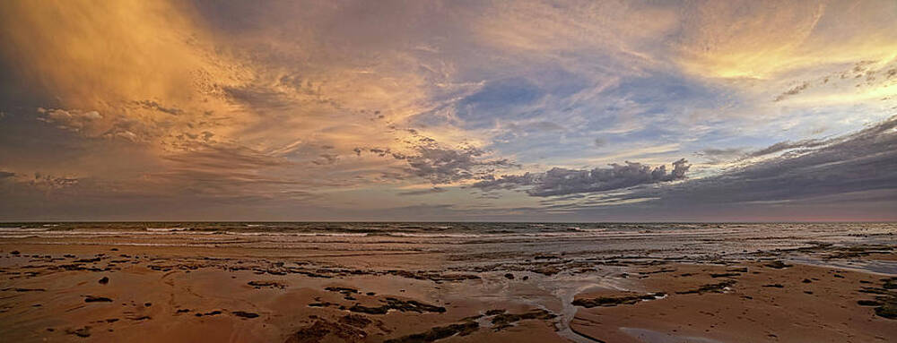 Wall Art - Photograph - Delight at Dusk by Leda Robertson