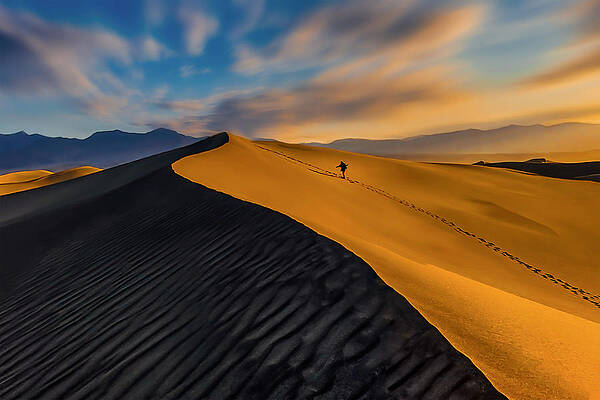Wall Art - Photograph - Desert Solo Walker by Lipinghu