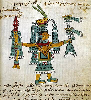Wall Art - Drawing - Detail of a page from the Tudela Codex, written by the Aztecs with annotations in Castilian. 1553. by Album