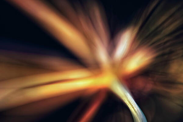 Abstract Still Life Photographs Fine Art America