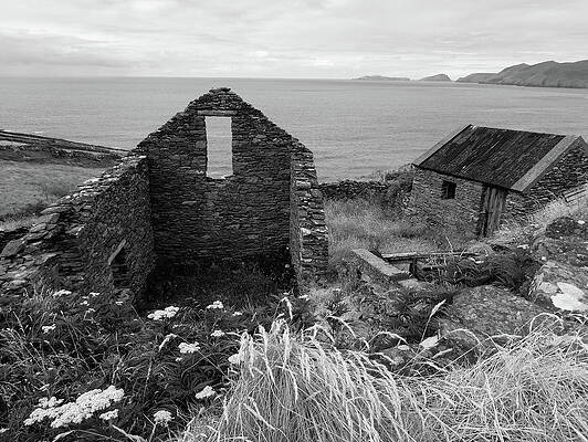 Dingle View by Jeff Kantorowski