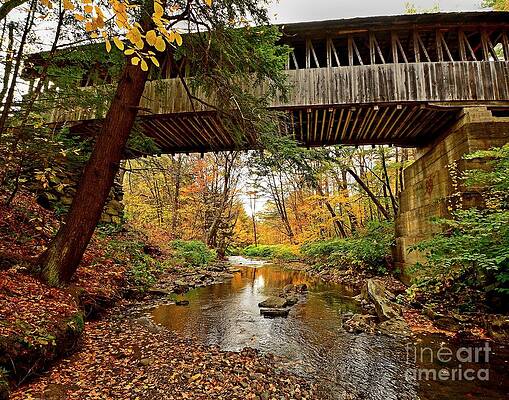 Wall Art - Photograph - Dingleton Covered Bridge by Steve Brown