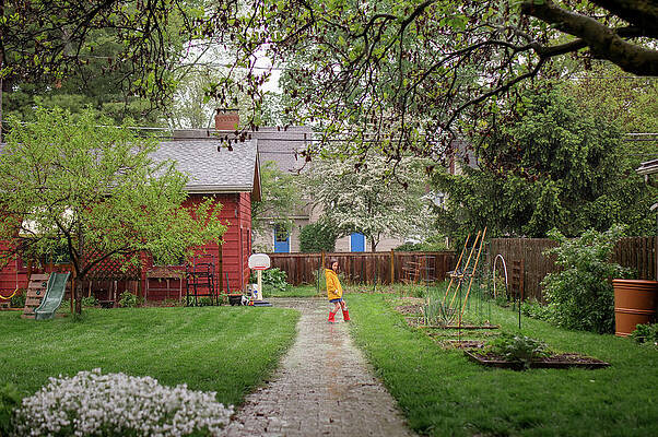 Wall Art - Photograph - Distant View Of Child Playing In Rain In Boots In Backyard by Cavan Images / Rebecca Tien
