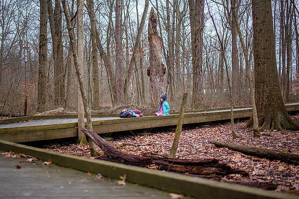 Wall Art - Photograph - Distant View Of Two Children Resting On Wooded Path Together by Cavan Images / Rebecca Tien