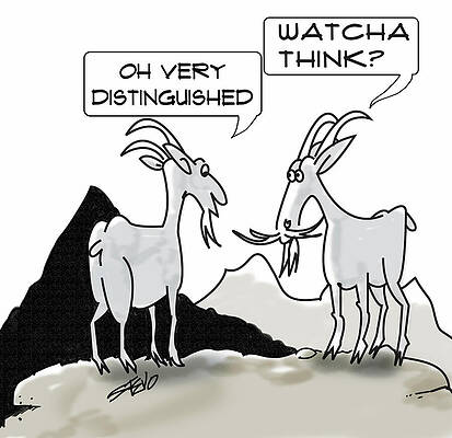 Wall Art - Drawing - Distinguished Goat by Steve Vincent