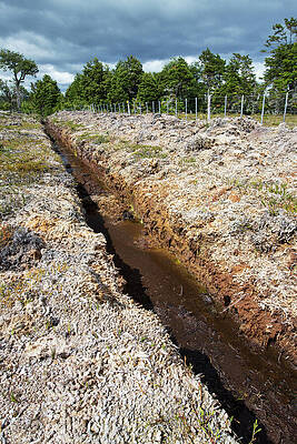 Wall Art - Photograph - Ditch Through Peat Bog, Used To Drain Land. Seno by Ashley Cooper / Naturepl.com