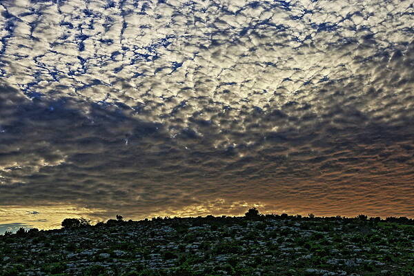 divine sunset. by Shlomo Zangilevitch divine sunset. by Shlomo Zangilevitch