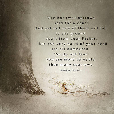 Do Not Fear by Caroline Jensen Do Not Fear by Caroline Jensen