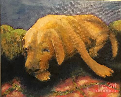 Dog daze by Cheryl Abbiati Dog daze by Cheryl Abbiati