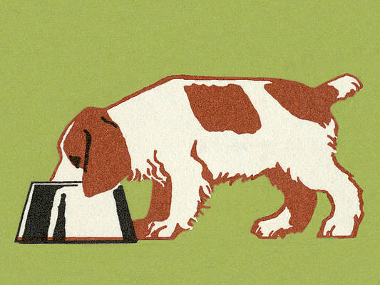 Wall Art - Drawing - Dog Eating by CSA Images